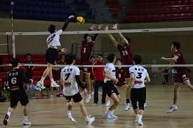 费城费城人王牌哈勒戴在 2010 年季后赛面对红人投出无安打，震惊全美